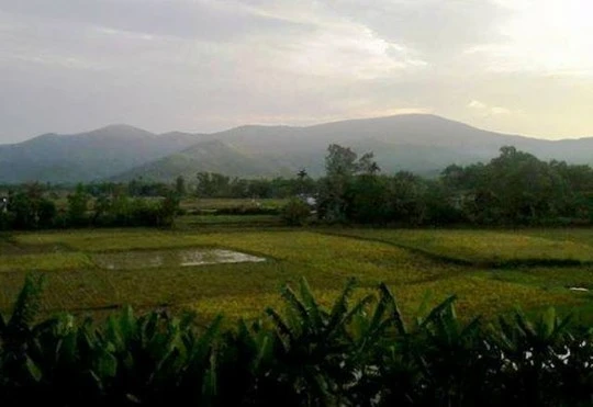 Khu vực núi Nưa, nơi Nguyễn Ngọc Hưng đã giở trò đồi bại. Khu vực núi Nưa, nơi Nguyễn Ngọc Hưng đã giở trò hiếp dâm.