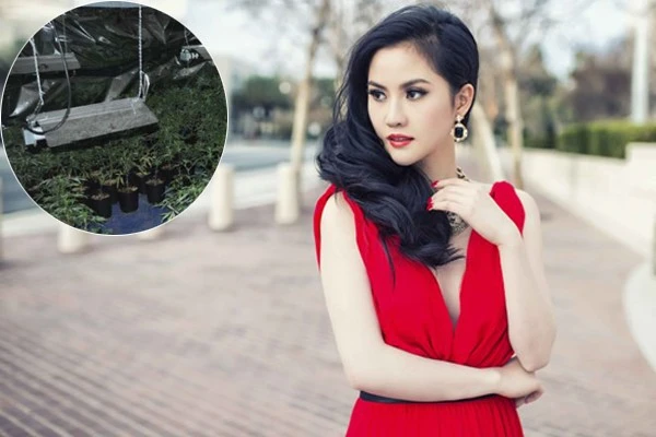 Vào thời điểm bị tuyên án, người đẹp đang mang thai nên được hoãn thi hành án. Vào thời điểm bị tuyên án, người đẹp đang mang thai nên được hoãn thi hành án. Tristine Trâm Bùi là người Đà Nẵng, cô sang Mỹ sau khi kết hôn với một người bản địa. Ngoài hoa hậu, người chồng hiện tại là Keith Ly cũng bị buộc tội trồng cần sa, cả hai bị truy tố hồi tháng 7/2012. Trong thời gian ở Mỹ, Tristine Trâm Bùi làm việc ở các casino, người mẫu.
