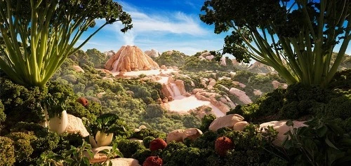 Khu rừng hoang sơ từ súp lơ và củ cải. anh-2_1427097250.jpg