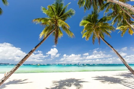 Bãi Trắng là đại diện thứ 2 của Philippines trong bảng xếp hạng, đứng ở vị trí thứ 5.