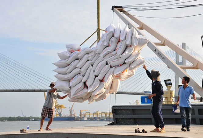 Vào thời khó khăn Việt Nam phải vay gạo của Indonesia. Nay thì mỗi năm Việt Nam xuất khẩu hàng trăm tấn gạo sang Indonesia - Ảnh: T.Đạm Vào thời khó khăn Việt Nam phải vay gạo của Indonesia. Nay thì mỗi năm Việt Nam xuất khẩu hàng trăm tấn gạo sang Indonesia - Ảnh: T.Đạm