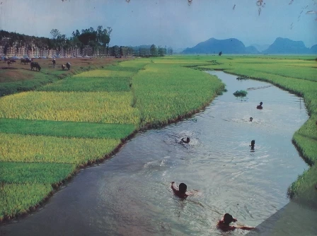 Thành Nhà Hồ.