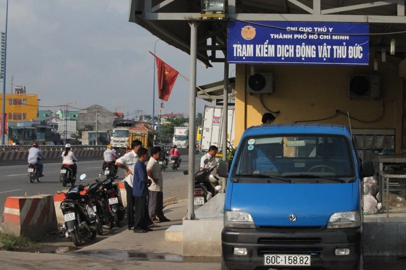 Bắt giữ hơn 1 tấn thịt gà hư thối ảnh 1