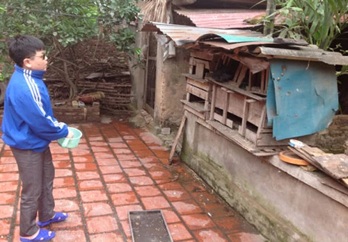 Anh Thơ tìm niềm vui bên những chú chim bồ câu. thom-9652-1431141057.jpg