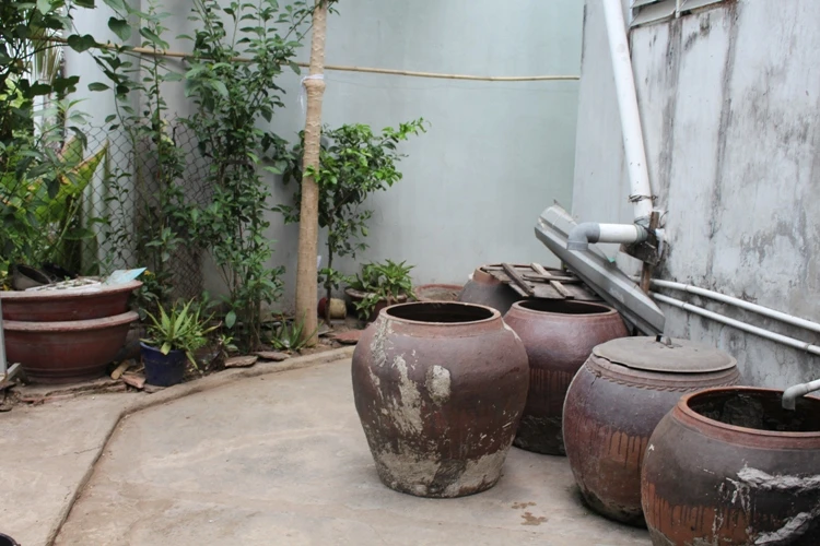 Cảnh nhà giản dị của cụ bà lớn tuổi nhất thế giới ảnh 5