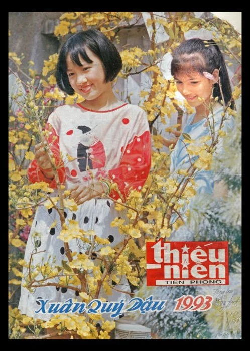 BTV Hoài Anh