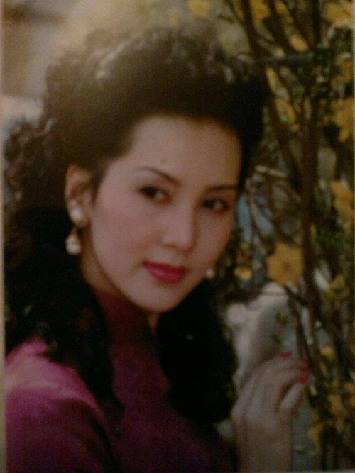 diễn viên, Mộng Vân, phim, thế hệ, lý hùng, diễm hương, việt trinh diễn viên, Mộng Vân, phim, thế hệ, lý hùng, diễm hương, việt trinh