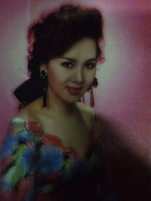 diễn viên, Mộng Vân, phim, thế hệ, lý hùng, diễm hương, việt trinh diễn viên, Mộng Vân, phim, thế hệ, lý hùng, diễm hương, việt trinh