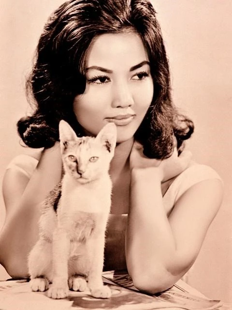 Là nữ diễn viên chính trong Hồi chuông Thiên Mụ (1957), Kiều Chinh mau chóng trở thành một trong những người nổi tiếng ở Việt Nam. Là nữ diễn viên chính trong