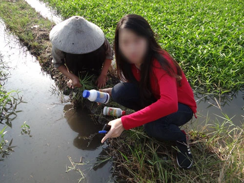Rau muống bị tưới nhớt, ngâm hóa chất gây hại gì? ảnh 1 Rau muống bị tưới nhớt, ngâm hóa chất gây hại gì? ảnh 1