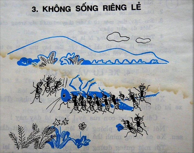 Những trang sách 'vỡ lòng' không thể nào quên (Kỳ 2) ảnh 10