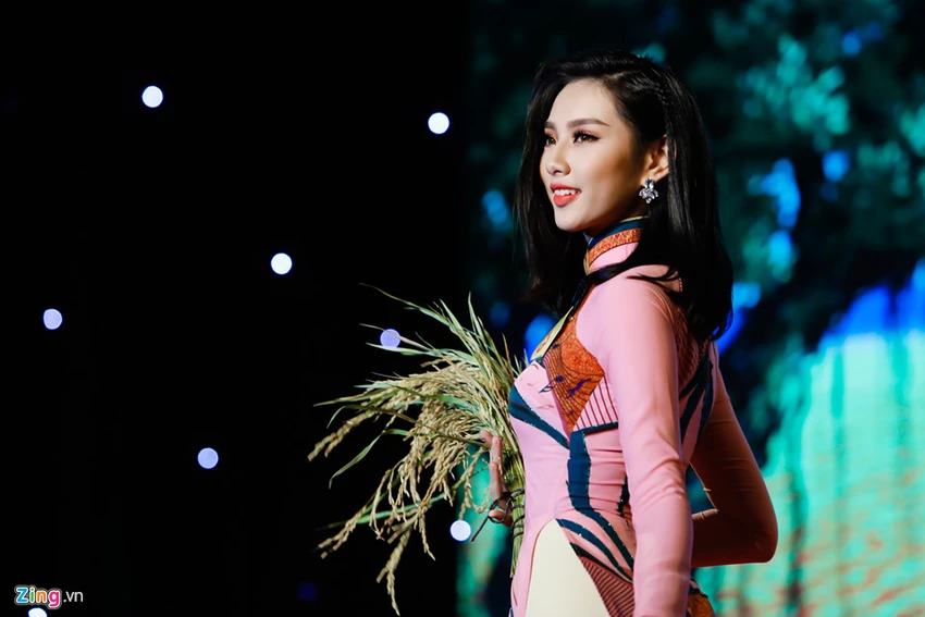 Khoanh khac trong dem chung ket Hoa khoi Nam Bo 2017 hinh anh 6