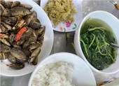 Cá rô ron xóc mắm gừng ngày mưa bão