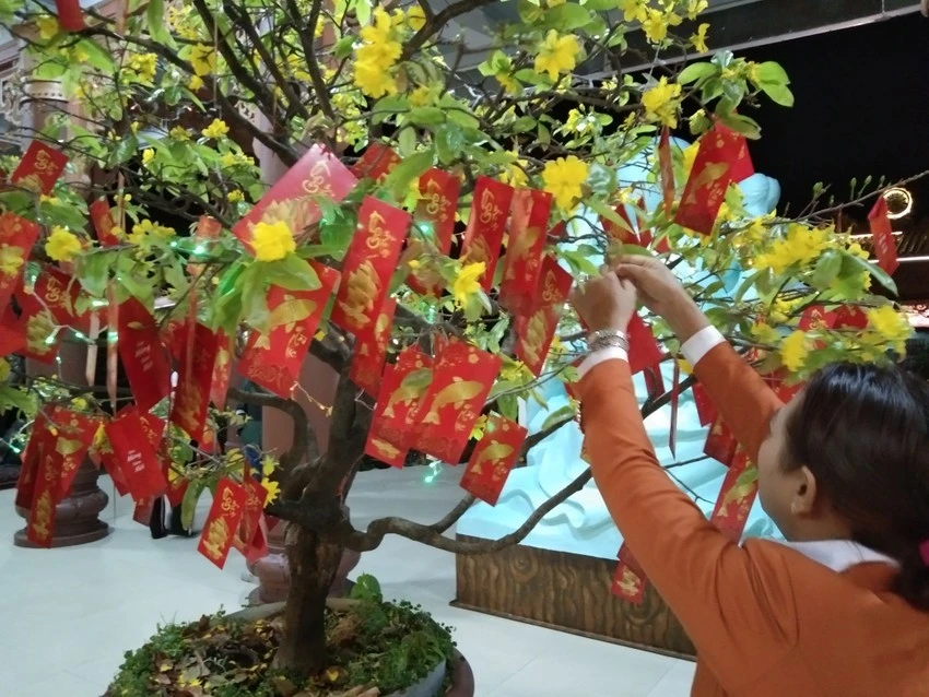 Hái/xin lộc đầu năm may mắn...