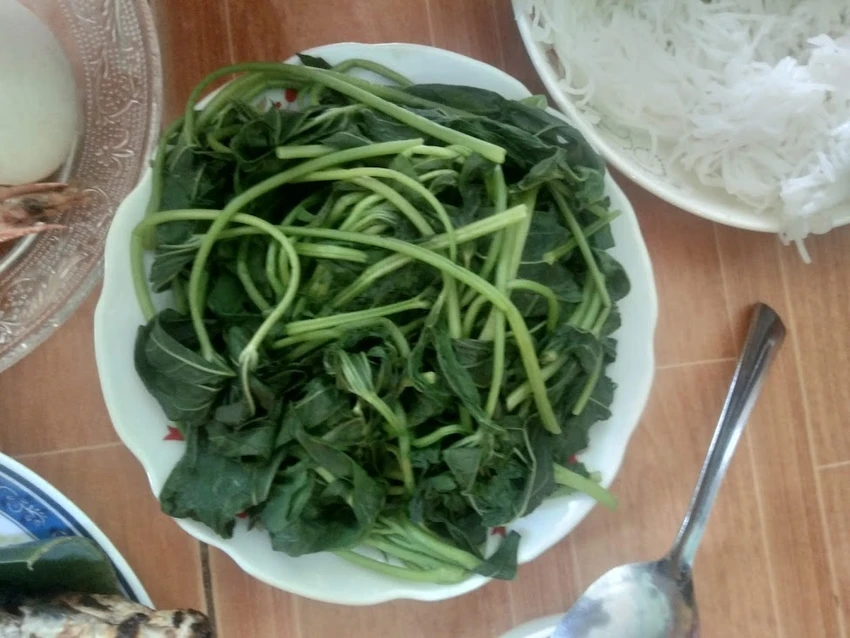 Rau muống. Rau muống.