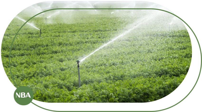 Béc tưới cây tự động - lựa chọn uy tín cho mọi doanh nghiệp.png