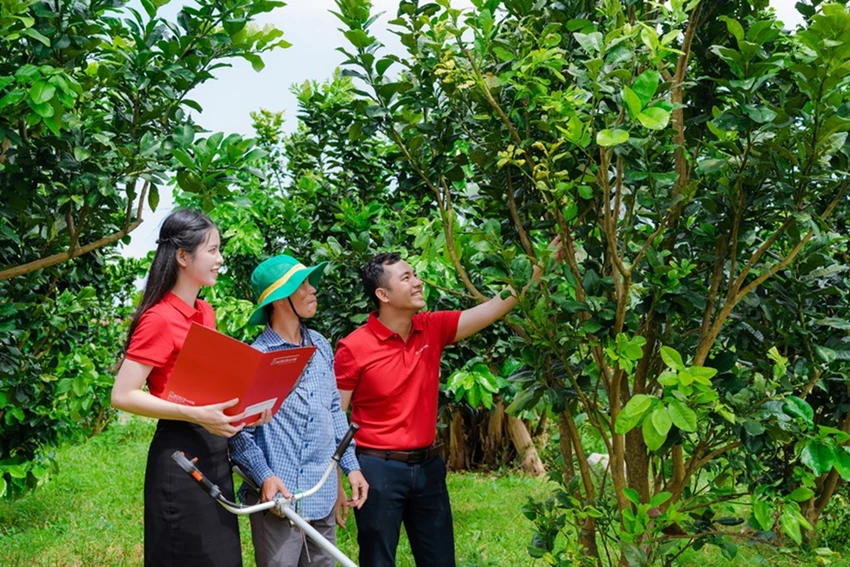 Agribank đồng hành cùng Giải báo chí toàn quốc về ‘Nông nghiệp, nông dân, nông thôn Việt Nam’ lần thứ II năm 2024.jpg