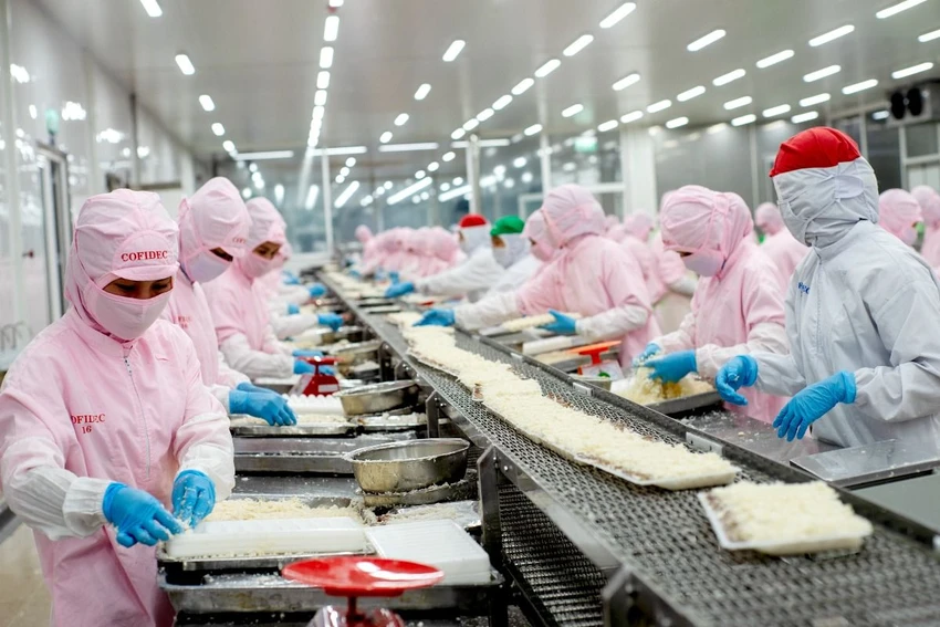 Dây chuyền tẩm bột tôm - xưởng thủy sản công ty Phát triển Kinh tế Duyên hải (Cofidec).jpg