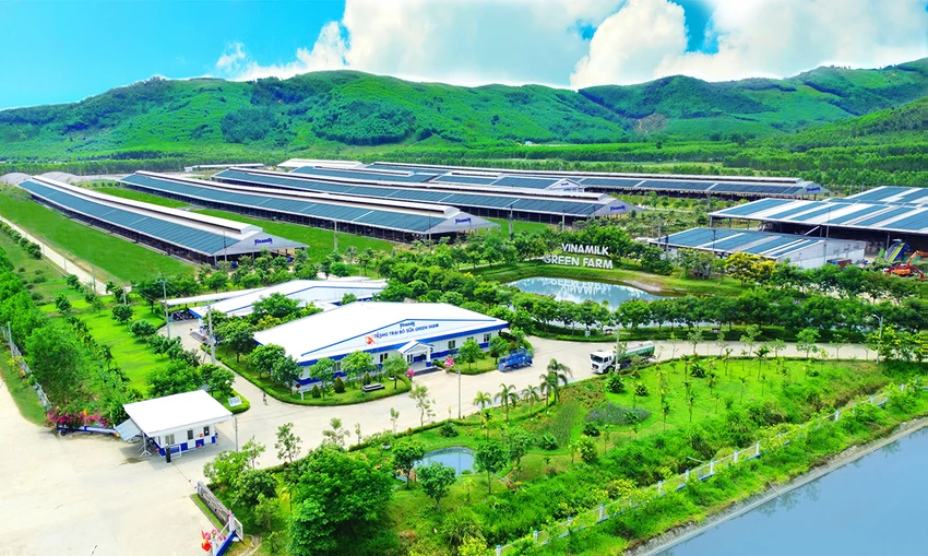 ceo-vinamilk-dieu-gi-can-thiet-phuc-vu-cho-xa-hoi-cong-dong-thi-vinamilk-se-lam-2.jpg