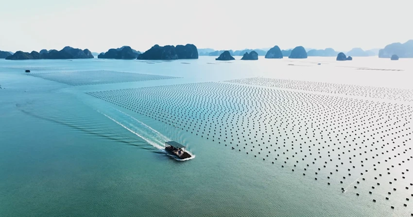 bim-group-thuoc-top-10-tap-doan-tu-nhan-da-nganh-nop-ngan-sach-lon-nhat-viet-nam-2.png