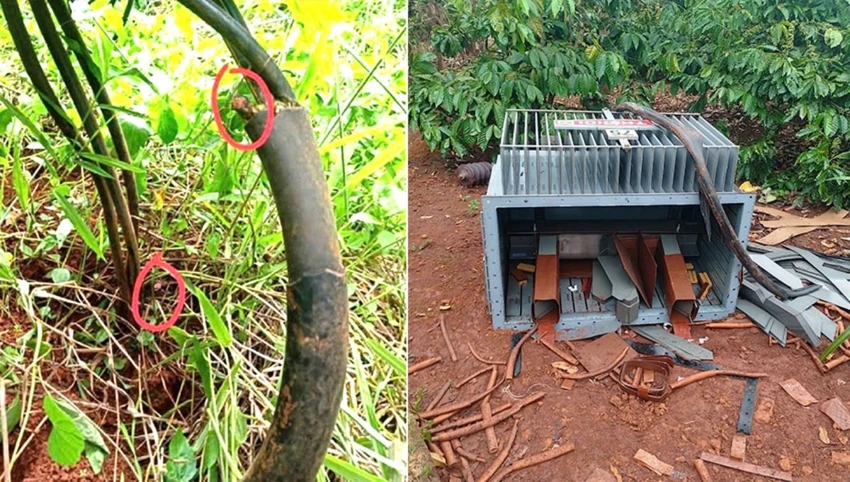 Đắk Nông: 20 trạm biến áp điện lực ở TP Gia Nghĩa bị phá hoại trộm dây đồng.jpg