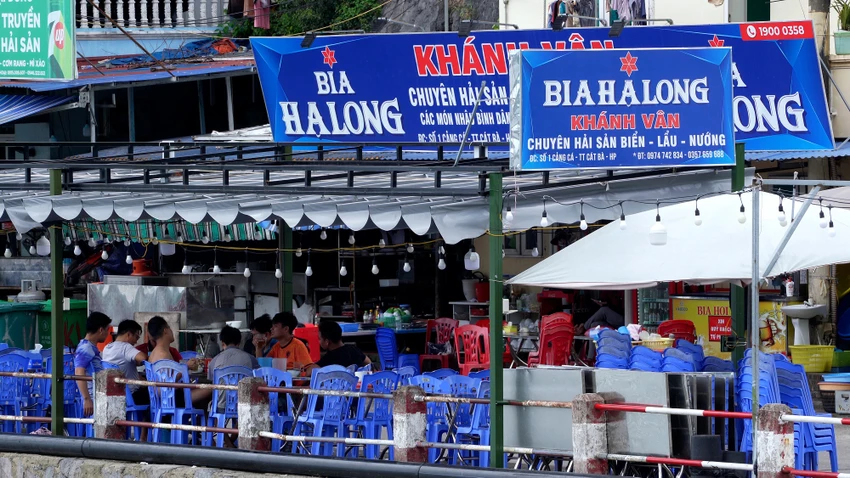 ‘Xanh là yếu tố giúp đảo Cát Bà vươn tầm thế giới’.jpg