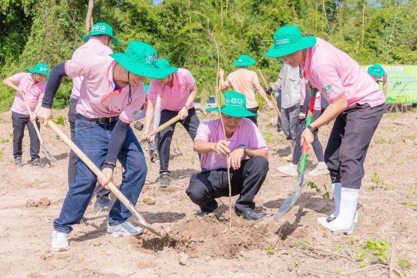 cp-viet-nam-ban-giao-du-an-trong-rung-tai-ta-thiet-binh-phuoc-2.JPG