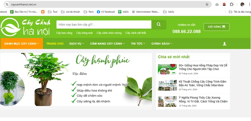 Cập nhật tên miền mới từ Caycanhhanoi.vn sang Caycanhhanoi.net.vn.png