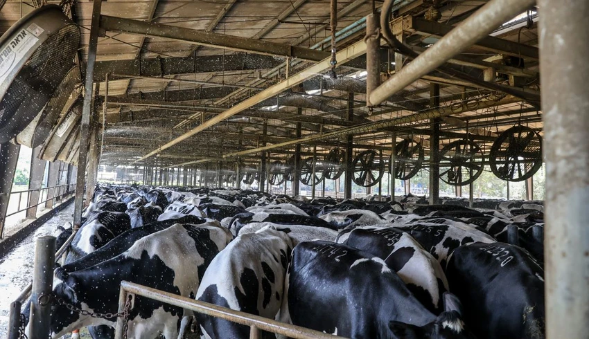 quy-trinh-vat-sua-kin-hoan-hao-cua-th-true-milk-2.jpg