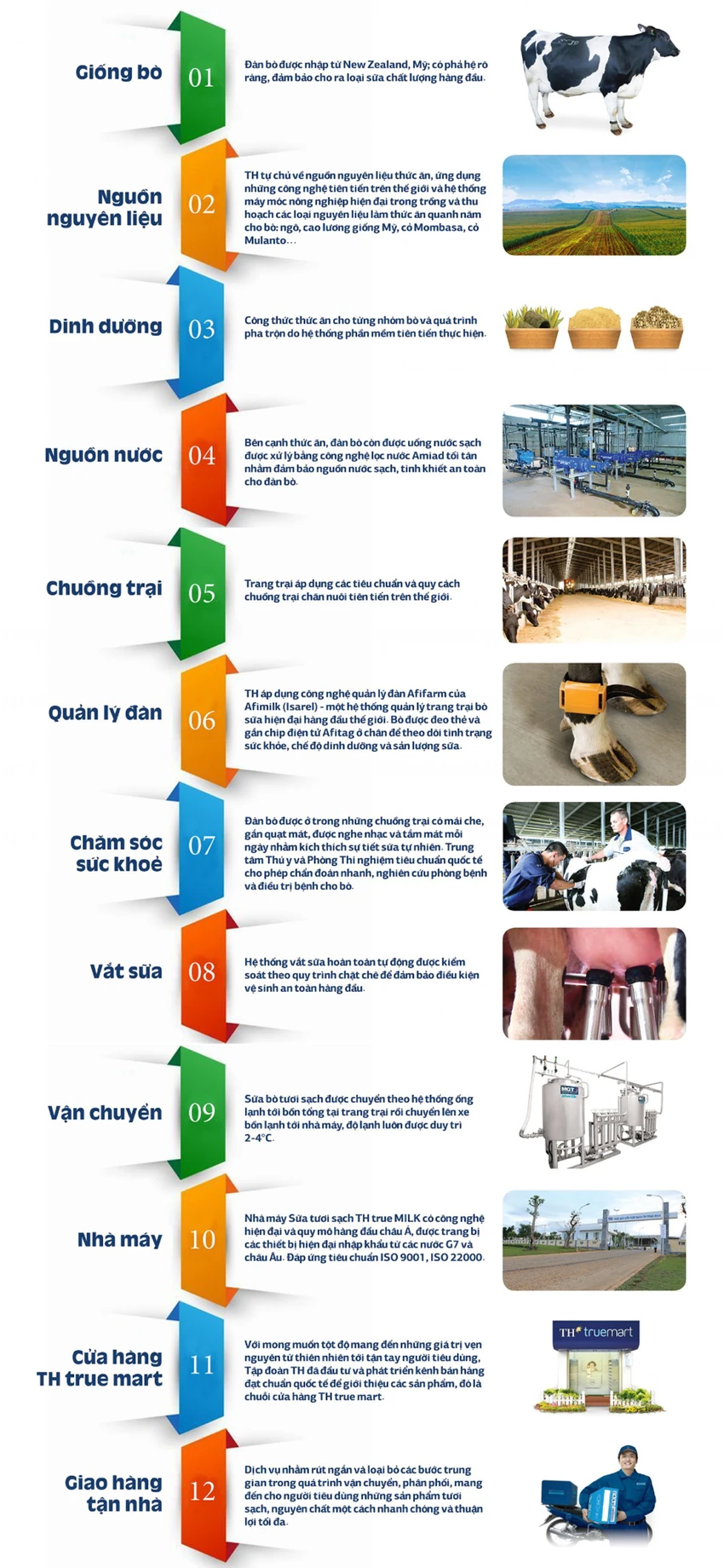 quy-trinh-vat-sua-kin-hoan-hao-cua-th-true-milk-3.png.jpg