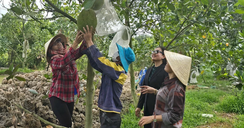 Nông dân Thủ Thừa thay đổi cuộc sống nhờ Quỹ hỗ trợ cộng đồng David Dương.jpg