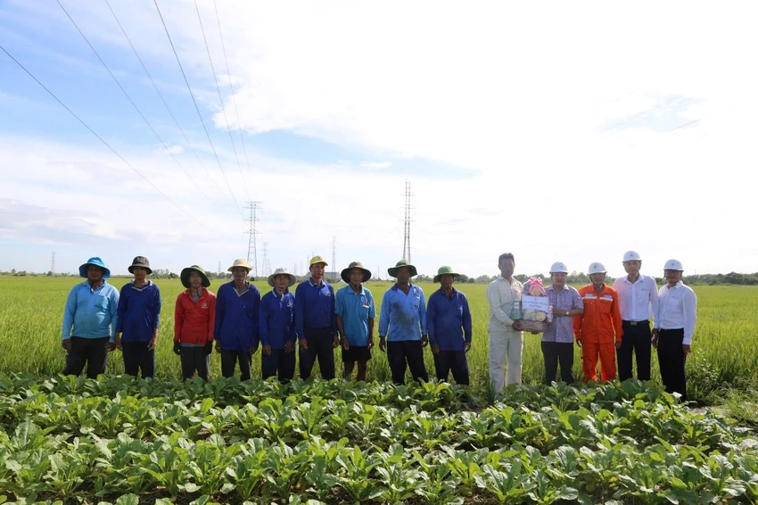 hon-800-nguoi-thi-cong-xuyen-le-tren-cac-cong-trinh-luoi-dien-khu-vuc-mien-nam-4.jpg