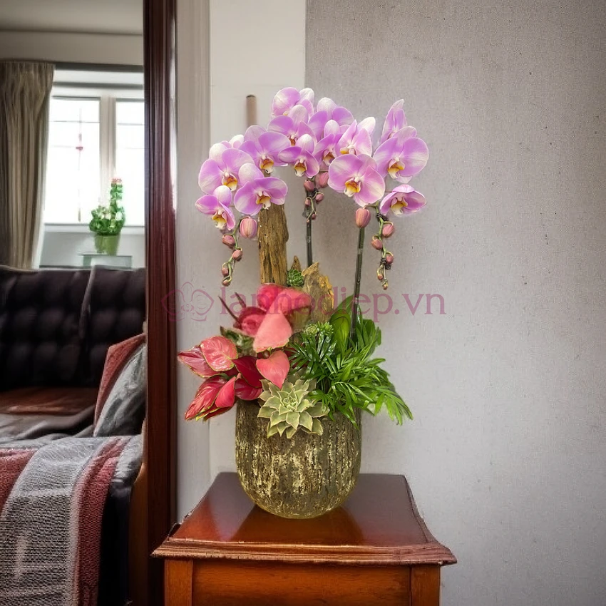 mua-cay-canh-lam-qua-20-10-o-dau-uy-tin-gia-tot-tai-ha-noi-2.png