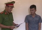 Thuê 2 ô tô rồi làm giả giấy tờ mang đi bán và cầm cố