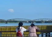 Cận cảnh cây cầu gỗ lim tiền tỉ trước giờ khánh thành