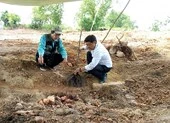 Mộ vợ vua Tự Đức bị san bằng: Đưa ra phương án di dời