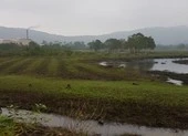 Chủ tịch xã 'phù phép' 13 lô đất cho người thân