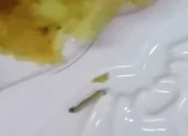 Hoãn xử vụ đăng clip bánh Trung thu có dòi lên Facebook