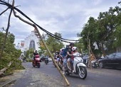 Thành phố Huế ngổn ngang cây đổ sau khi bão quét qua