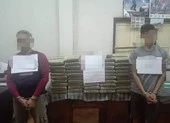 Bắt 120.000 viên ma túy tổng hợp, 202 bánh cần sa