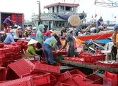 Thừa Thiên - Huế lên phương án dời dân tránh bão số 5 đảm bảo phòng dịch