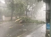 Thừa Thiên – Huế: Cây xanh gãy đè người đi đường