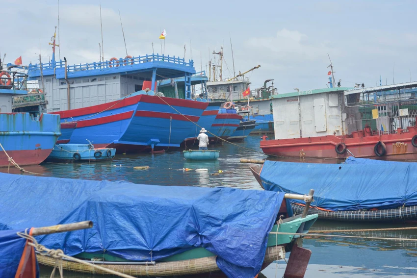 Theo công điện của Chủ tịch UBND tỉnh Quảng Trị Võ Văn Hưng, việc sắp xếp tàu thuyền vào các nơi neo đậu, tránh trú đảm bảo an toàn trên địa bàn tỉnh hoàn thành trước 17 giờ ngày 26-9. Theo công điện của Chủ tịch UBND tỉnh Quảng Trị Võ Văn Hưng, việc sắp xếp tàu thuyền vào các nơi neo đậu, tránh trú đảm bảo an toàn trên địa bàn tỉnh hoàn thành trước 17 giờ ngày 26-9.