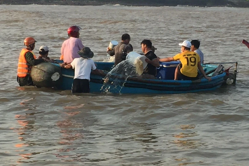 Lực lượng chức năng phối hợp với ngư dân đưa thuyền thúng lên bờ. Ảnh Lực lượng chức năng phối hợp với ngư dân đưa thuyền thúng lên bờ. Ảnh