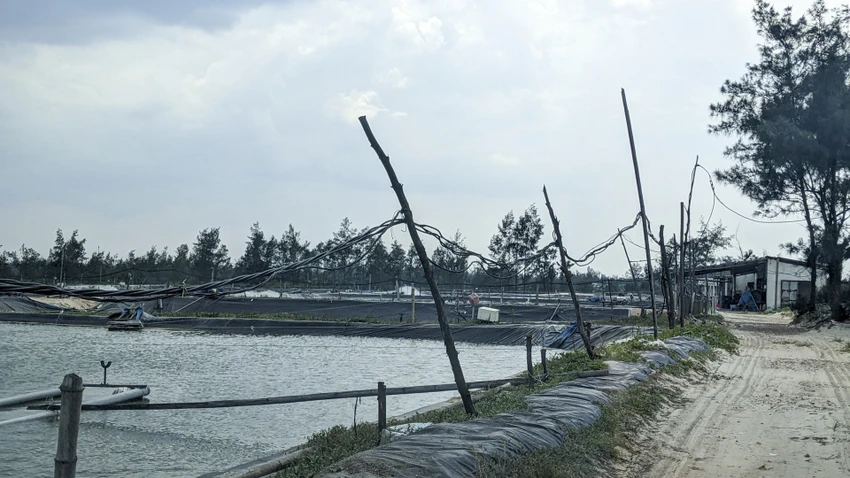 Một số hồ nuôi tôm trên địa bàn thôn 8, xã Triệu Vân, huyện Triệu Phong, tỉnh Quảng Trị. Ảnh: N.DO
