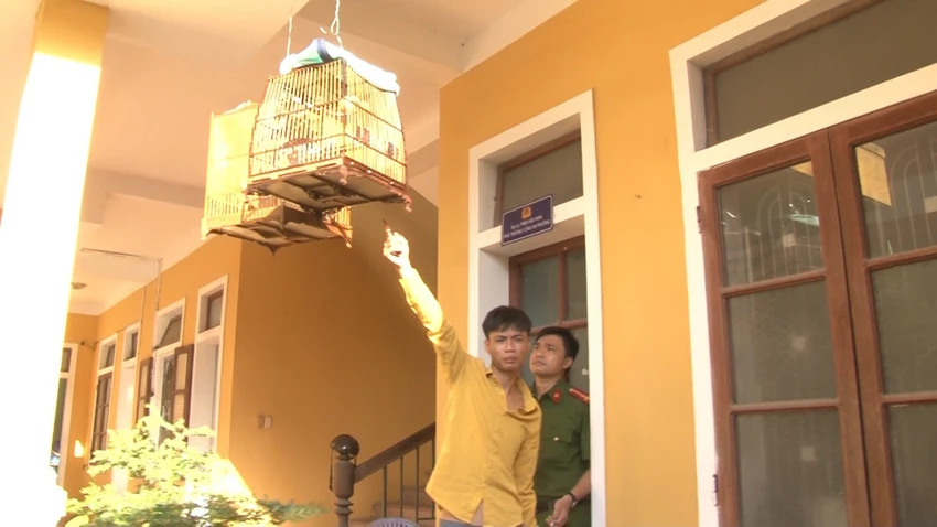 Tang vật là con chim được thu hồi. Ảnh: Công Quang Tang vật là con chim được thu hồi. Ảnh: Công Quang