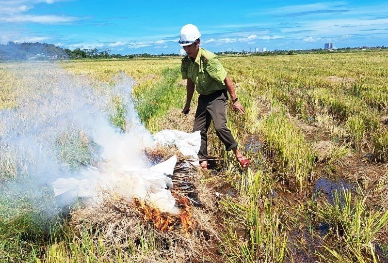 Lực lượng chức năng đốt bẫy chim. Ảnh: T.ĐOÀN Lực lượng chức năng đốt bẫy chim. Ảnh: T.ĐOÀN
