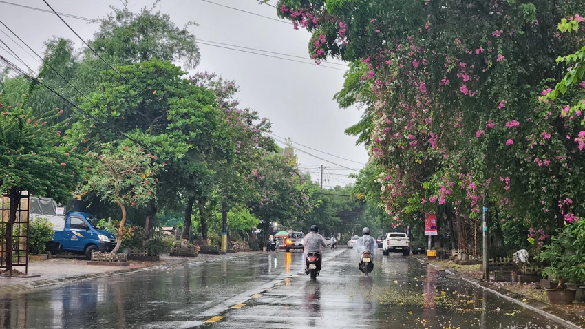 Mưa lớn giải nhiệt