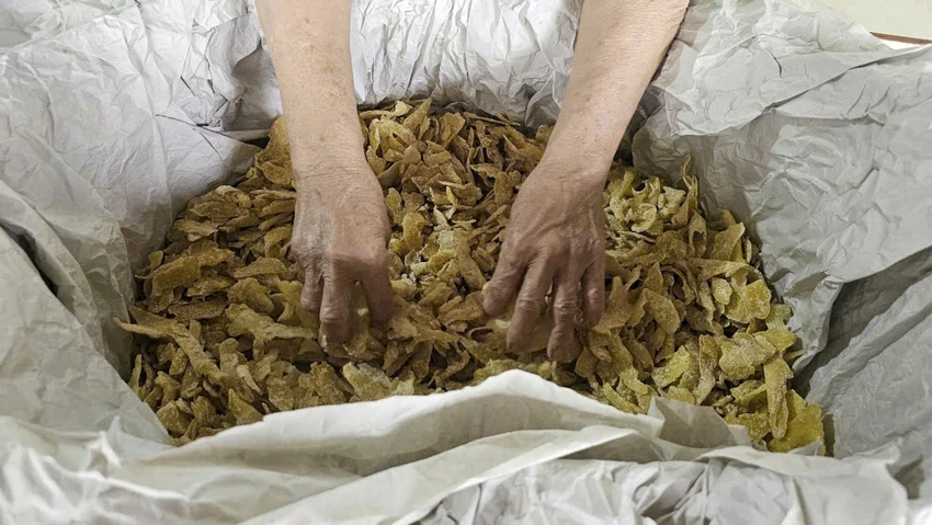 tham-lang-mut-gung-tru-danh-xu-hue-truoc-tet-at-ty (12).jpg