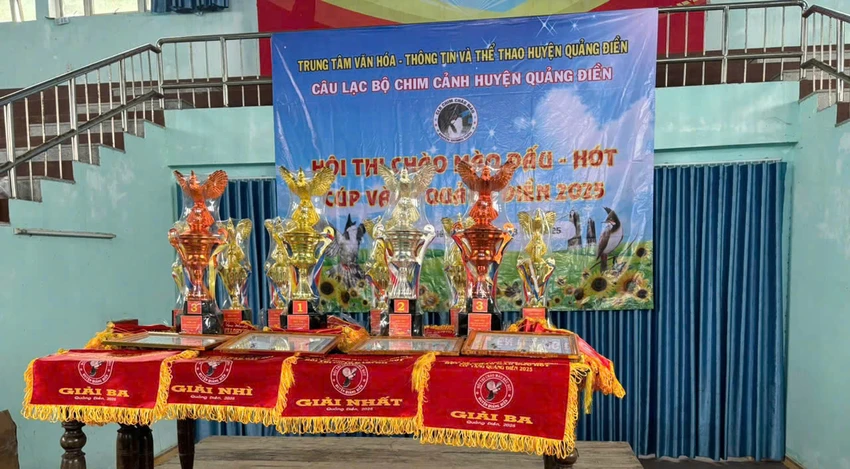 chim chào mào